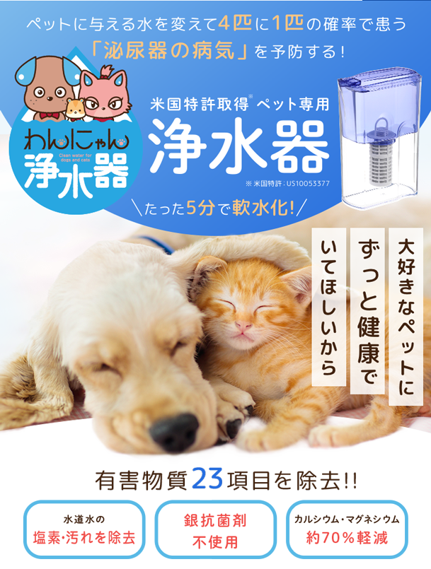 最大67％オフ！ イーテック わんにゃん浄水器 ペット用 容量1L munozmarchesi.ar